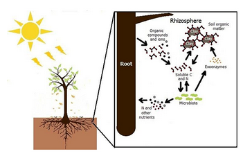 土壤檢測(cè)儀器有防雷的嗎？